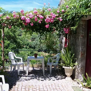 My - Vina - Ter Casa de Campo